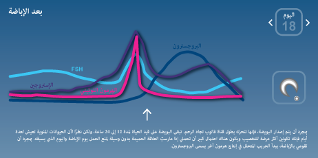 بعد الإباضة